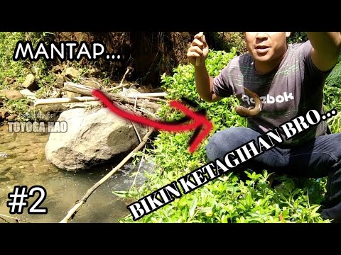 mancing-ikan-di-sungai-kecil-dapat-ikan-lele-#2