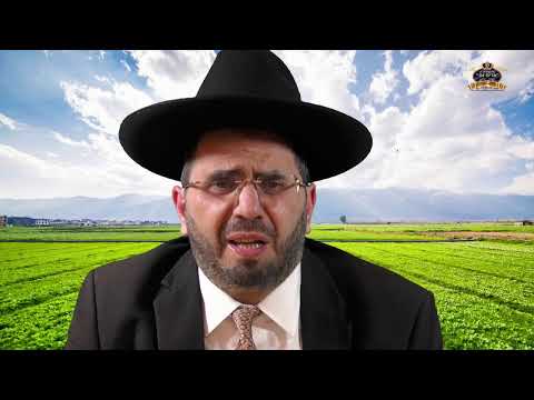 הרב אדיר עמרוצי - למה להתגאות