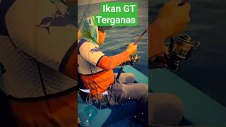 Mancing GT Terganas! Umpan Minnow Langsung Dihajar #mancingtuna #baitfishing #mancing