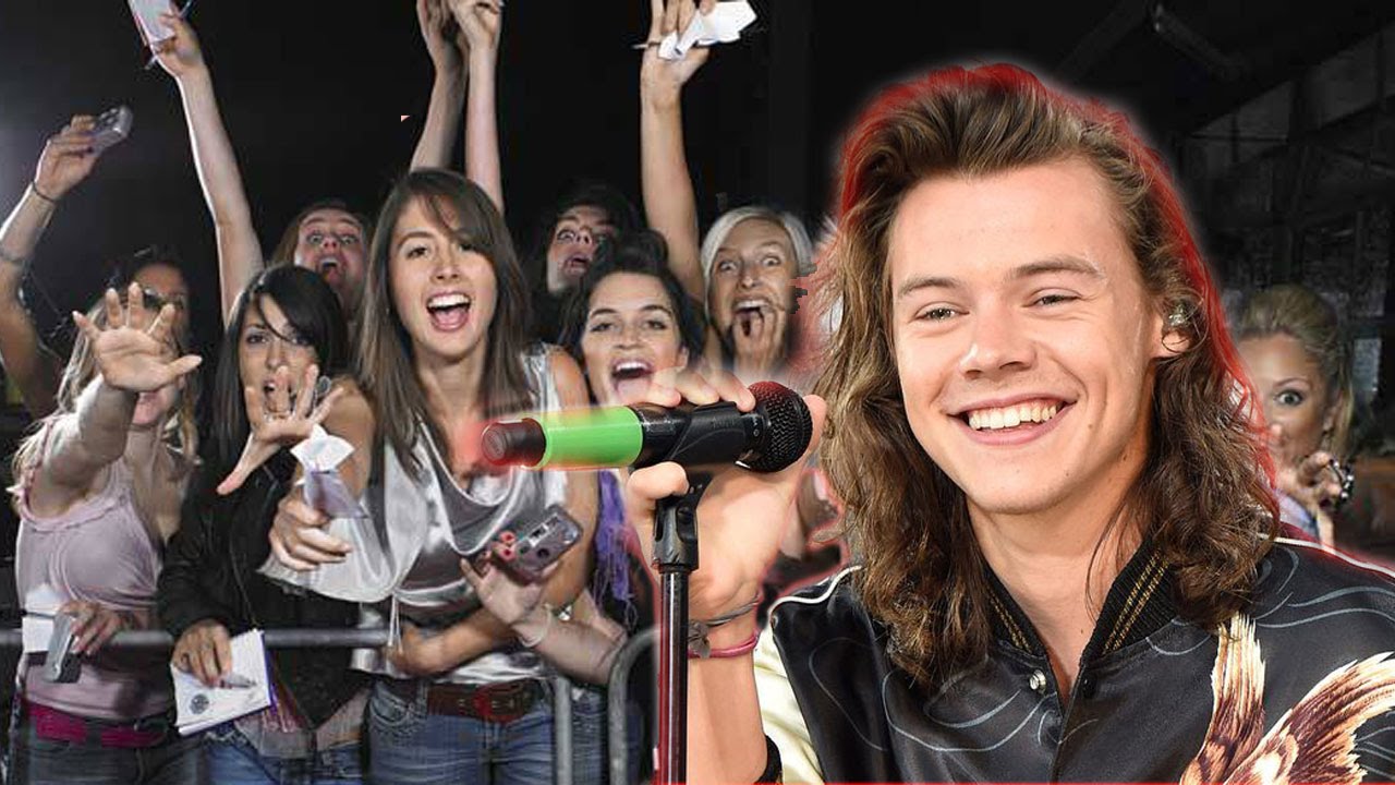 Harry Styles Hooked Up With A Fan