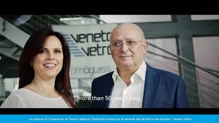 Vetrine Digitali Venetovetro