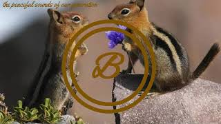 Buddynice - Days of pain ( Nostalgic Mix)