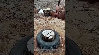 Smart Way to Chop Wood Using a Tire #worker #process #woodsplitting #diy #lifestyle