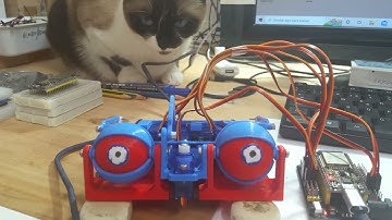 Ojos animatrónicos con ESP32