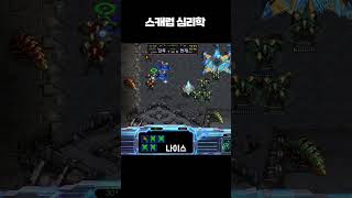 이 스캐럽의 MBTI를 맞추시오