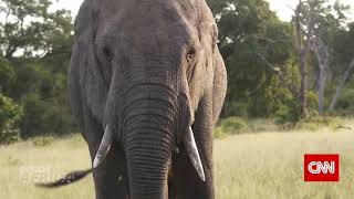 Brackenhill Craft Distillery - CNN Inside Africa