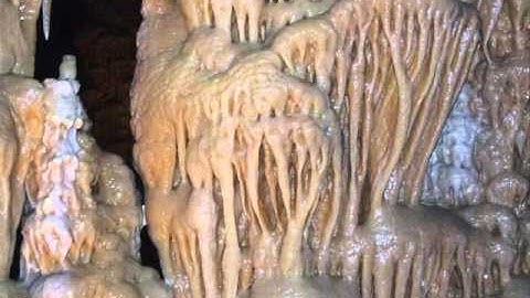 Patterns and Fractals in Nature