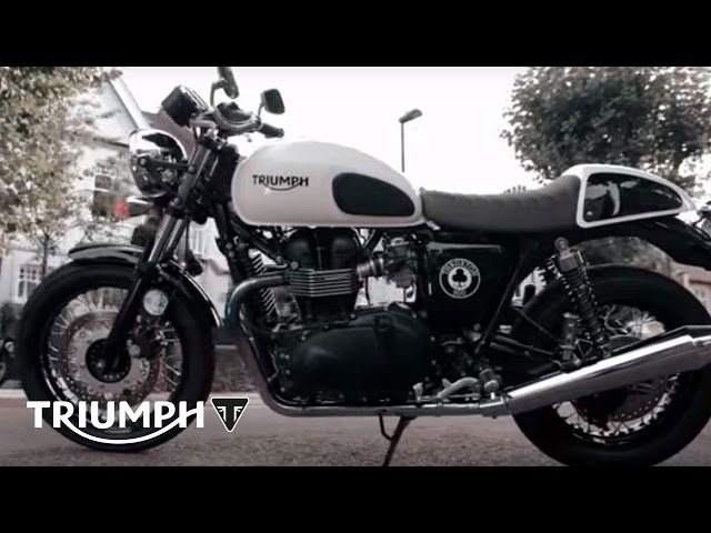 トライアンフ　スラクストンACE sixty8 ステッカー付き トライアンフ スラクストンACE sixty8 ステッカー付き The NEW Triumph