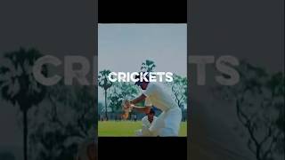 Cricket Edit x Headlights (feat. KIDDO) ⚡️ #shorts #edit #cricketlover