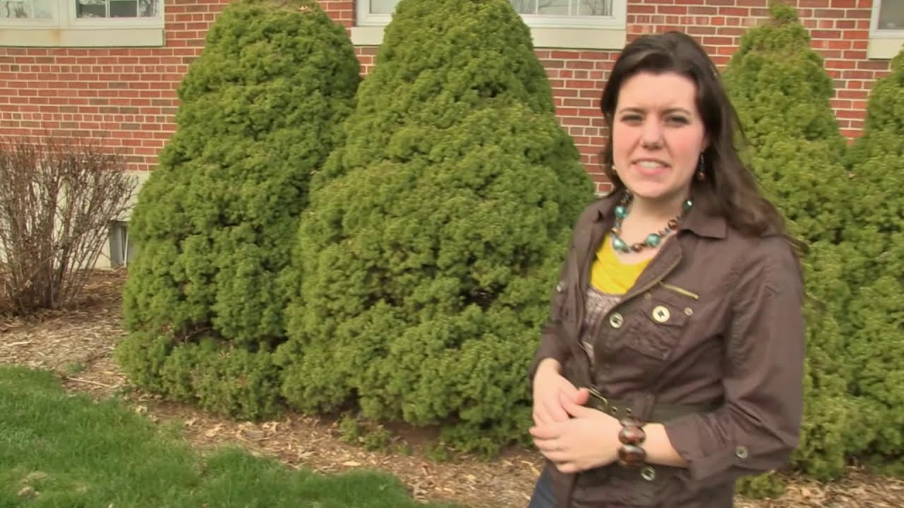 THE ANGUS HEADQUARTERS - American Angus Association History