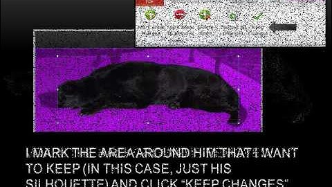 How to remove the background from a picture in PowerPoint 2010