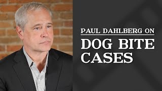Dog Bite Cases 