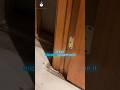 Basement Leak Warning Hidden Under Carpet | #BasementLeaks #MoldInspection