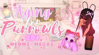 ♡ Getting Purrowls! aging up pets, making neons/megas   small inventory refresh .✦ Adopt me! 𝜗𝜚. ݁₊
