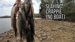 SLAYING Crappie from the SHORE (Missouri)