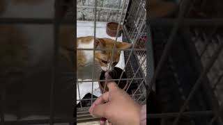 459405629 26381464804830564 5592028411104251280 n 1