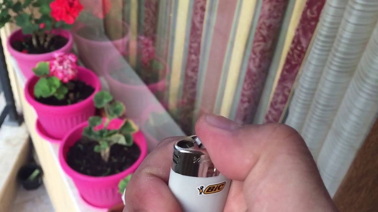 iphone 6 slow motion