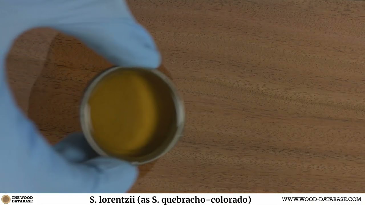 Quebracho (Schinopsis lorentzii)