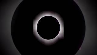 Eclipse: the silence of nature #eclipse #moon #sun #sleep #highlights #vertical