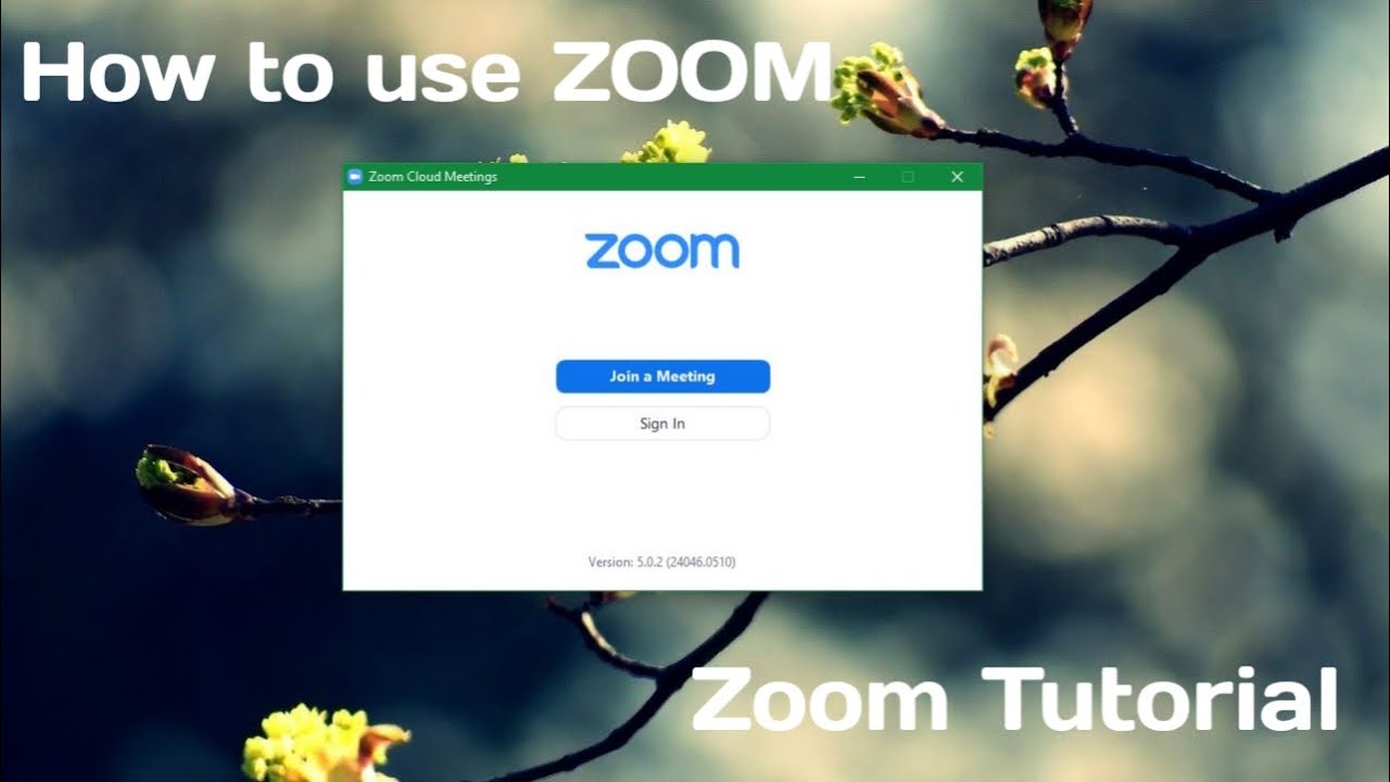 what do i need to join a zoom meeting what do i need to join a zoom meeting