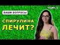 «При каких заболеваниях помогает спирулина». Вся ПРАВДА о лечении спирулиной. Ответы на ваши вопросы