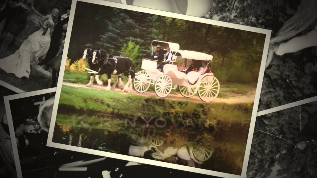 Wedding Photographer Fort Collins Colorado