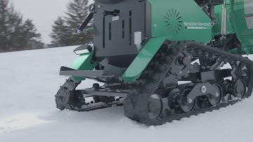 The Season for a Snow Rhino