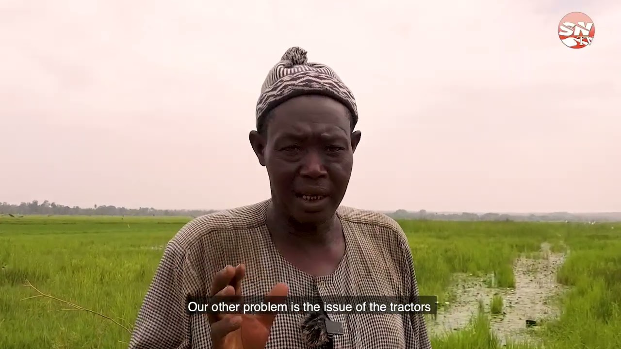 Is Jahally Pacharr Ready To Feed The Gambia?