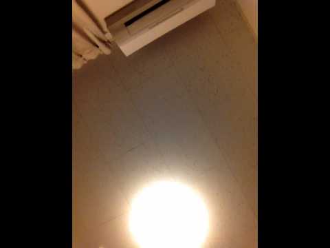 蜜蜂  コブクロ  ギター  弾き語り
