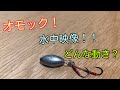 オモックの水中映像・村田基も絶賛！？【釣りオモフック】