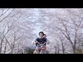[Playlist] 桜と共に君が咲いた