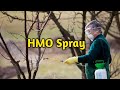 Hmo spray  time  mixing with ethion copper mancozeb insecticides etc  hortikashmir