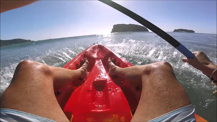 NZ Surf n Stay - Explore and Discover