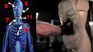 САМЫЕ ОПАСНЫЕ УДАРЫ | НЕ ПРИМЕНЯТЬ ВНЕ РИНГА!!!!!!! САМЫЕ ОПАСНЫЕ УДАРЫ | НЕ ПРИМЕНЯТЬ ВНЕ РИНГА!!!!!!!