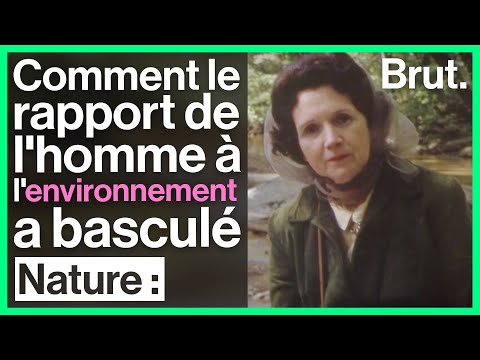 Vidéo: Qu'est-ce qui a influencé Rachel Carson ?