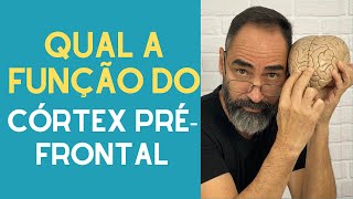 CÓRTEX PRÉ-FRONTAL SERIA A SEDE DA CONSCIÊNCIA?