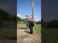 beast funny video 2