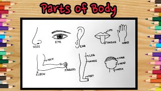 body parts drawing|easy human body parts drawing|human body parts drawing