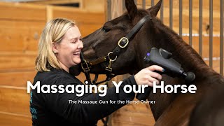 The Massage Gun for Horse Owners