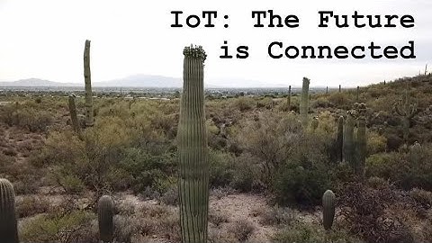 IoT: The Future is Connected