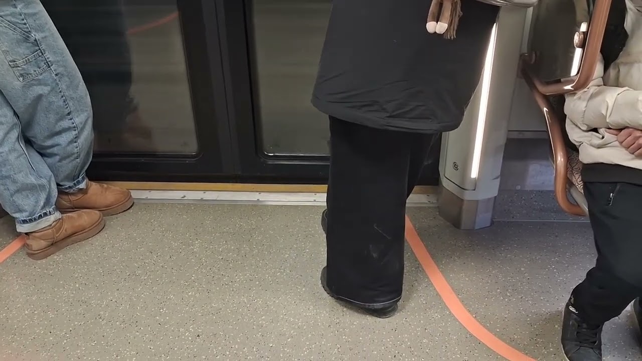 Шумная Москва 2020 на БКЛ перегон Варшавская-Каховская