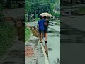 സുഹൃത്ത് 👬 #frendship #shortvideo #shorts #shortsfeed #song #hananshaah #rainyday