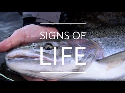 Explore Skagit County