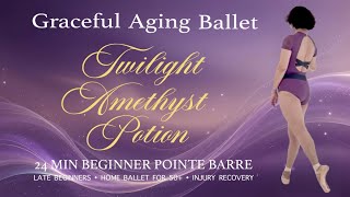 24 Min Condensed Beginner Pointe Barre class