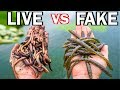 LIVE BAIT vs ARTIFICIAL LURE Fishing Challenge!!! (Surprise Catch!)