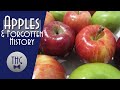 Extinct Apples and the Golden Age of American Pomology