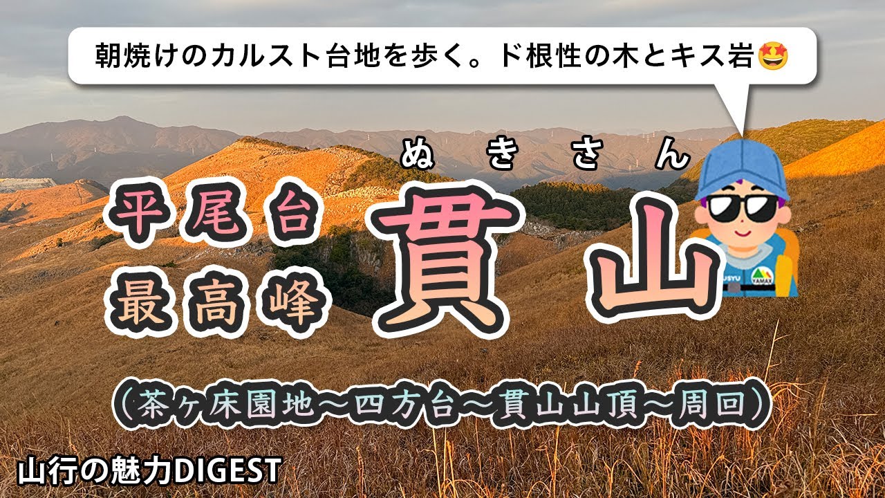 【平尾台】日の出の時間に貫山に登ってみたら朝焼けが超絶景だった！【ド根性の木・キス岩】