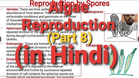 Algae Lecture 8 : (Reproduction in Algae) | in Hindi |