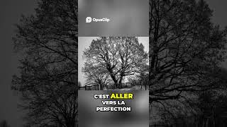 Dépasse tes Limites !#perspective #succès #mindset