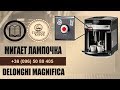 Delonghi ESAM 3200 Magnifica кофеварка, мигает лампочка промывки. Как убрать. Что это значит.